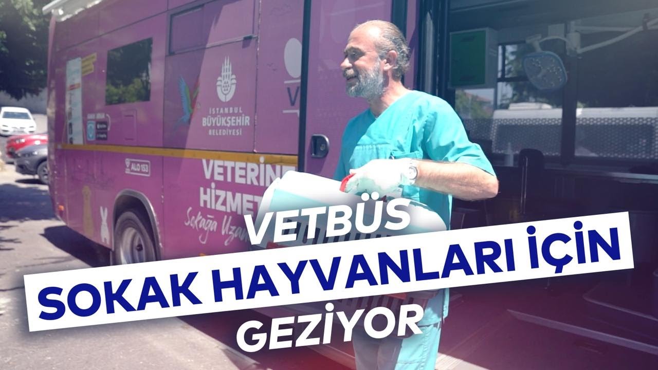 VETBÜS SOKAK HAYVANLARI İÇİN GEZİYOR
