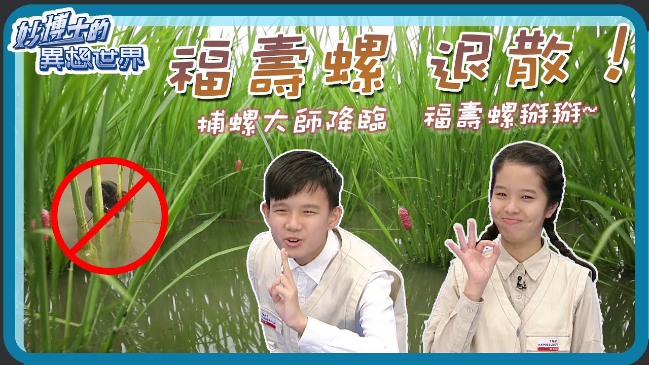 【妙博士的異想世界】20211223 - 捕螺大師降臨 - 福壽螺退散