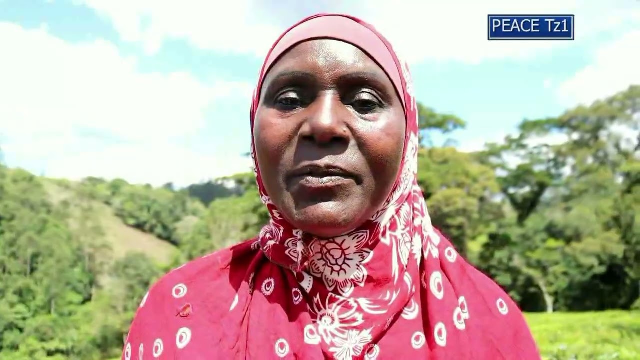 UHARIBIFU  VYANZO VYA MAJI MTO ZIGI  BONDE LA PANGANI NI UKATILI DHIDI YA VIUMBE HAI PAZA SAUTI.