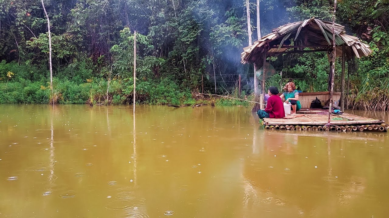 suasana di desa dayak, hujan deras di atas rakit berburu ikan disungai,masak goreng singkong & sukun
