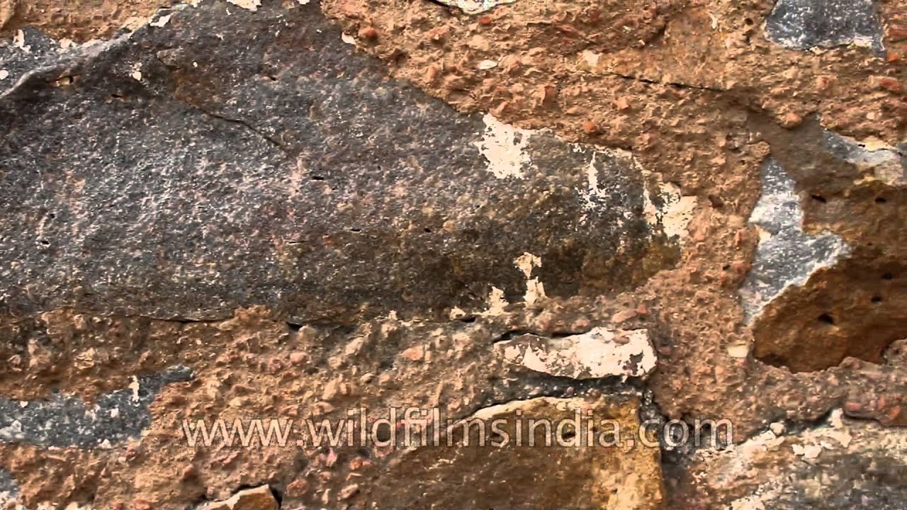Close-up shot of ancient stone-work on the wall of Munda Gumbad, Delhi