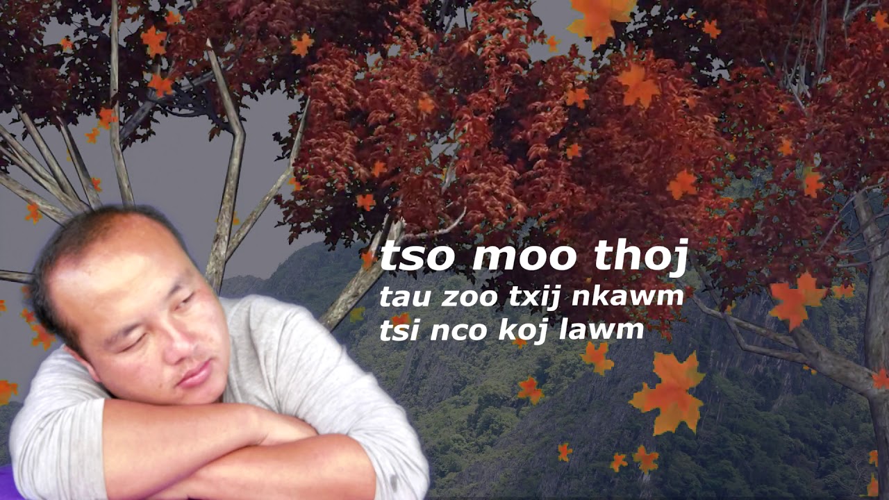 Tso Moo Thoj Tau Zoo Txij Nkawm
