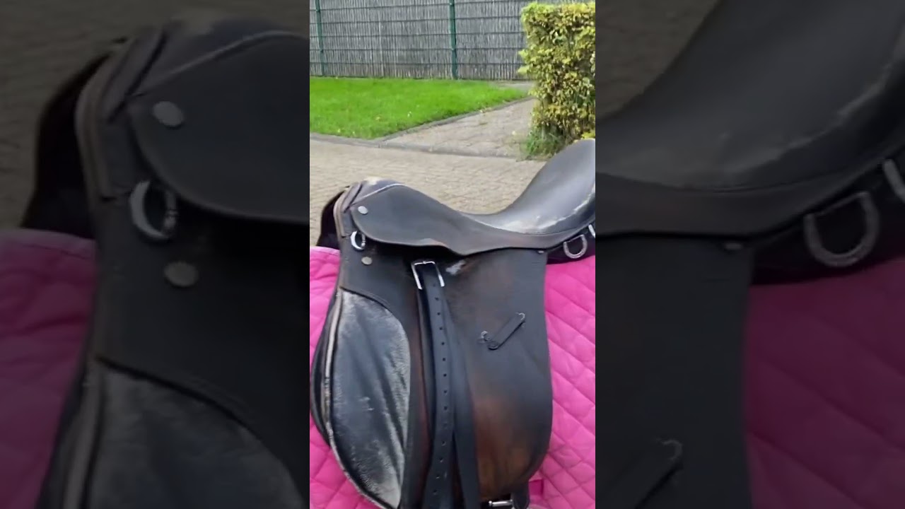 Ik hebe een houten paard #countrymusic #horse