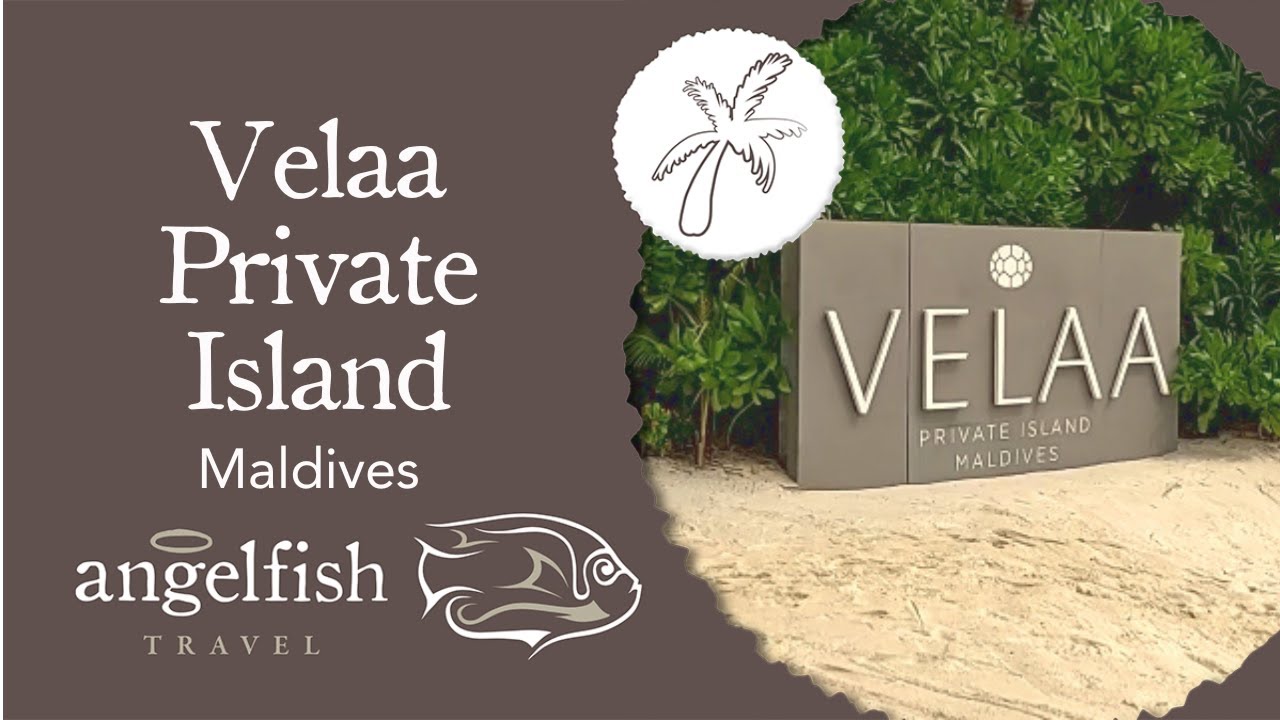 Exclusive Look At Velaa Private Island: Maldives' Top Luxury Resort Tour | Angelfish Travel