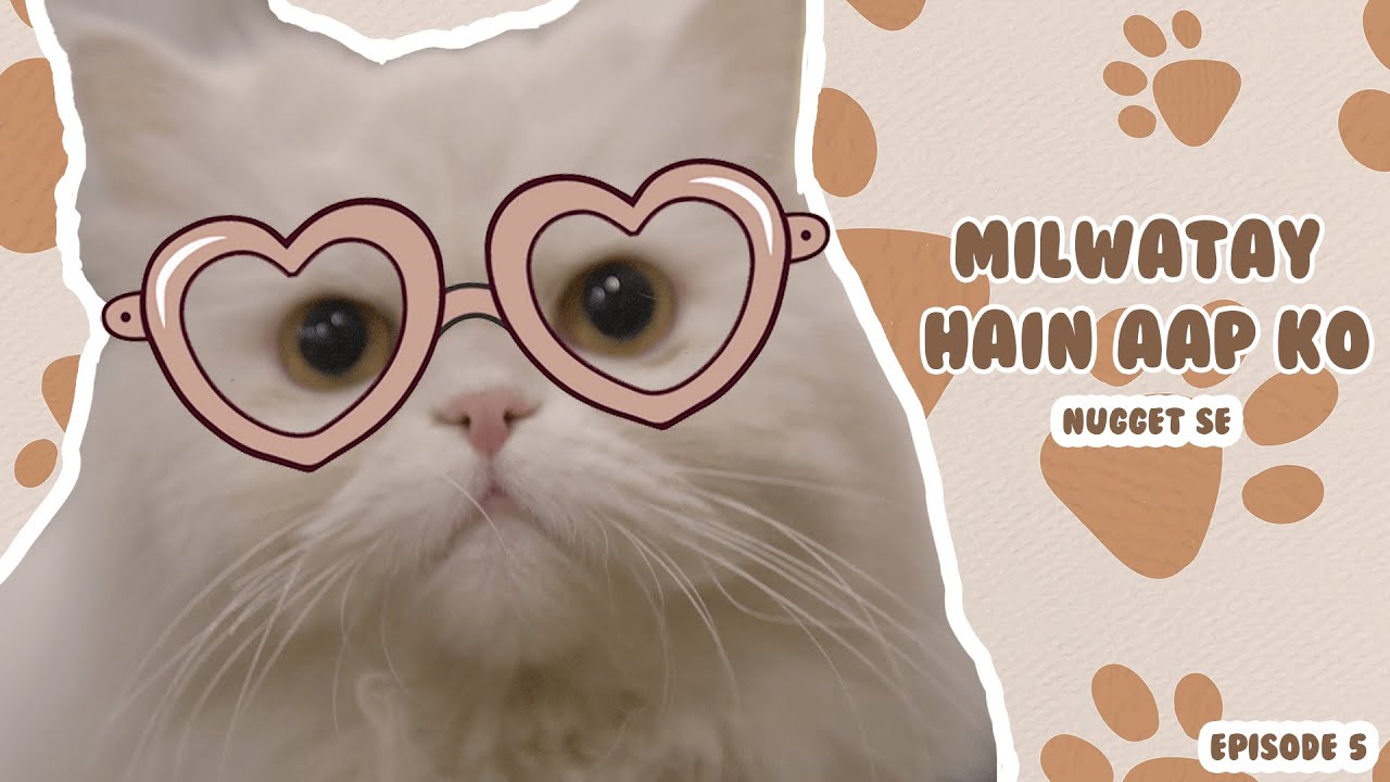 Milwatay Hain Aap Ko Nugget Se | Episode #5 (My Beautiful Pet Cat)