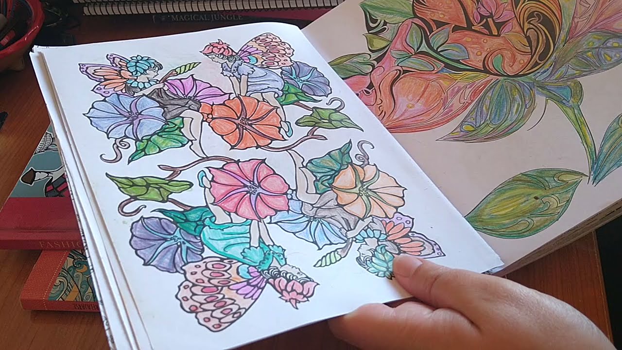 🖍️🖍️ Mis libros para colorear y mis Laminas coloreadas terminadas ✨🥰#colorear #relax #mandalas