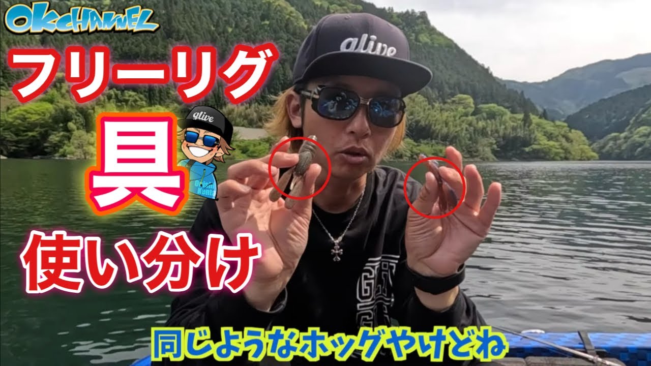 釣れる秘訣はこれ！メーカー縛り無しでフリーリグで釣れる具(ワーム)の特性とアクションを伝受！【バスプロ解説】