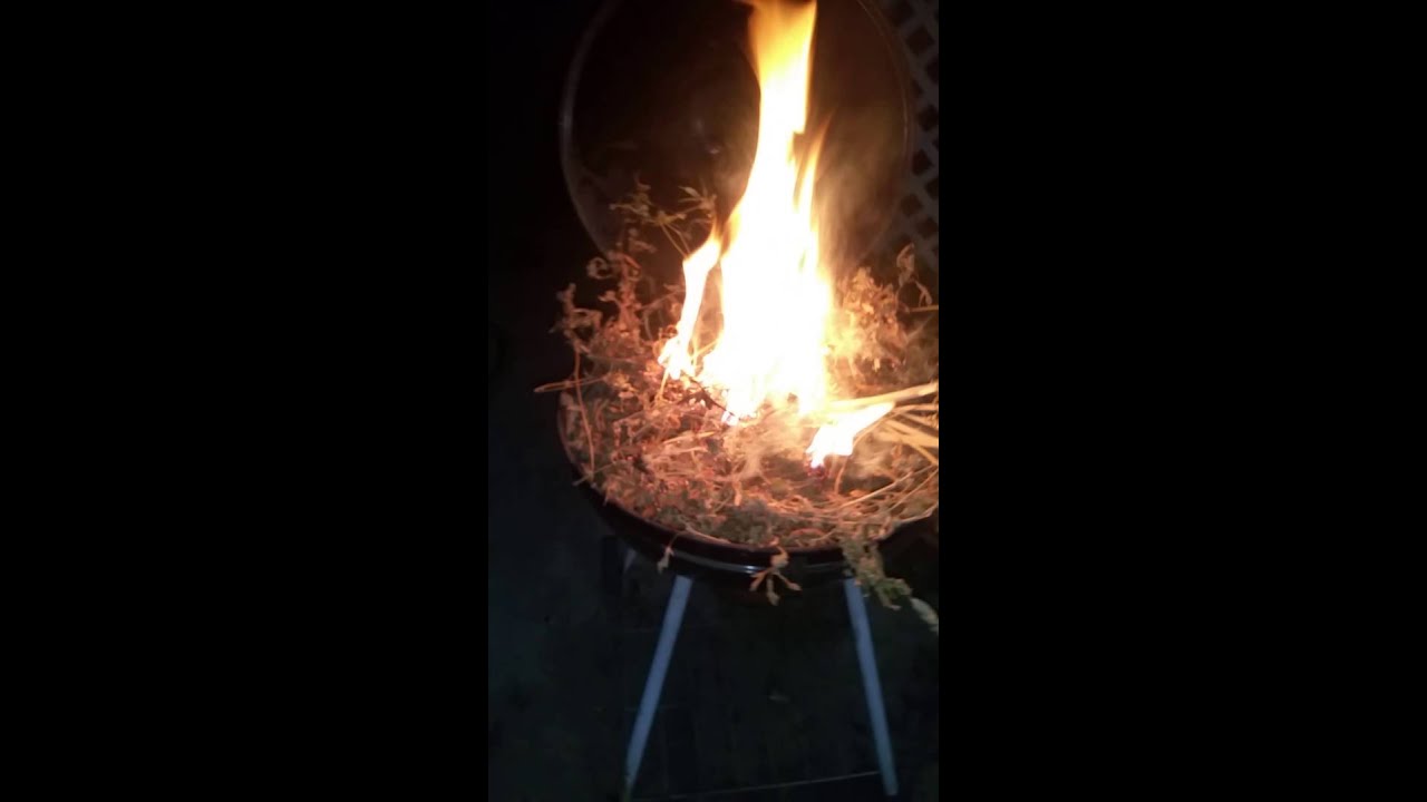Torching a pound of herb