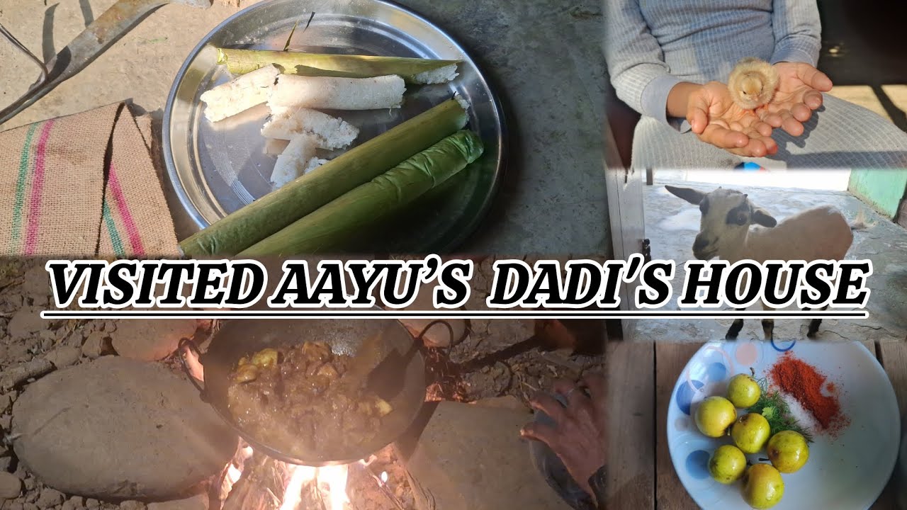 A day at Aayu’s dadi’s place | Silchar | Udharbond | Village | Reshma's Channel 
