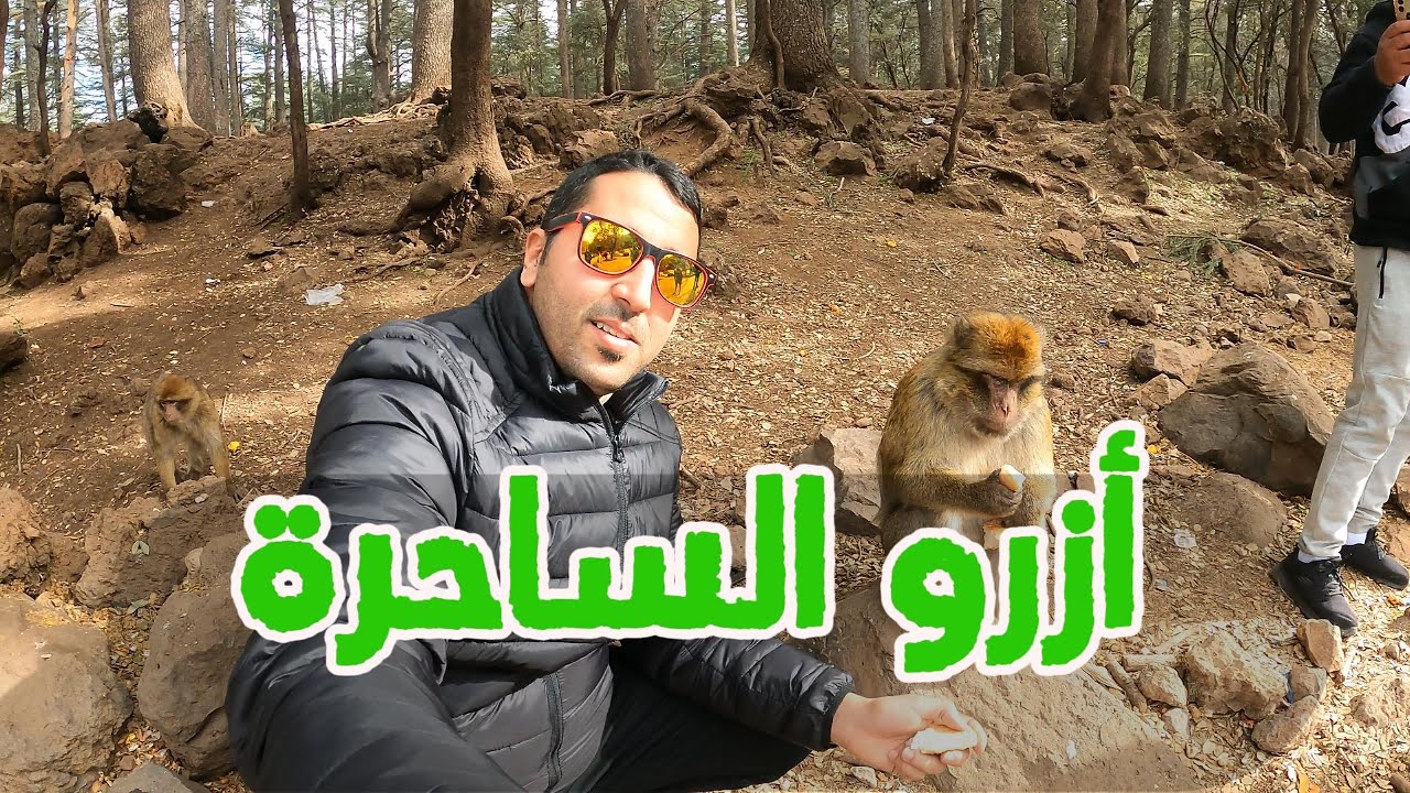 غابة أرز ڭورو الساحرة 🌄🌄 وتجربة ركوب الخيل