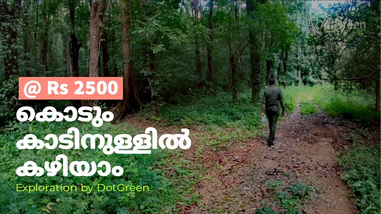 Thattekad Bird Sanctuary | Stay in Forest Thattekad Kerala