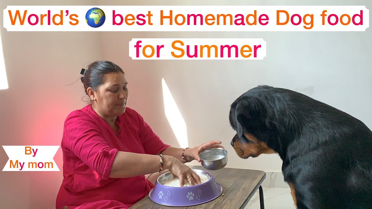 She love Thor more than me: Watch how & what Homemade dog food we give Thor in Summer's 100% Result