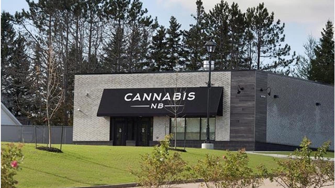 Cannabis NB Loses $11.7 Million In First Fiscal Year