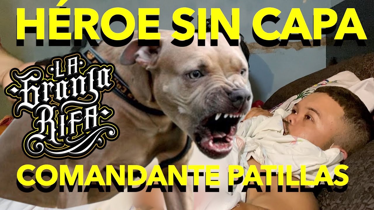 HÉROE SIN CAPA -COMANDANTE PATILLAS SALVÓ A SU PAPÁ