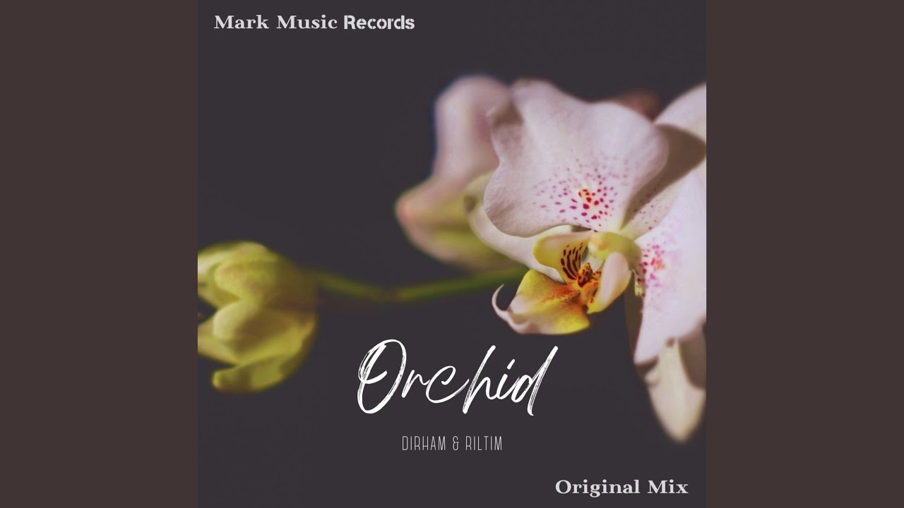 Orchid