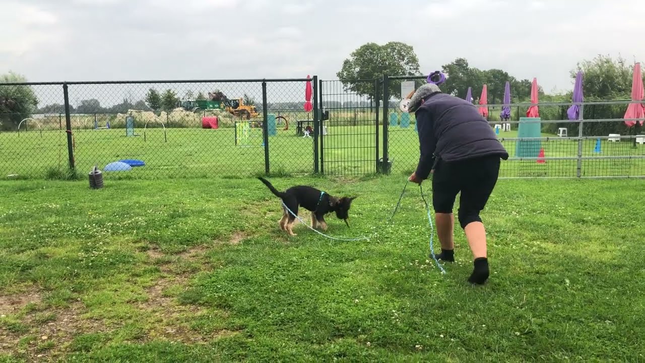 'Hoe daag ik mijn hond uit om naar een geur te speuren?' (2)