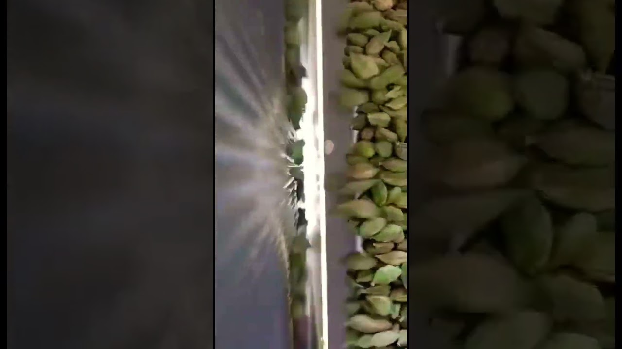 Apple color sortex | cardamom | for enquiry 9944491573