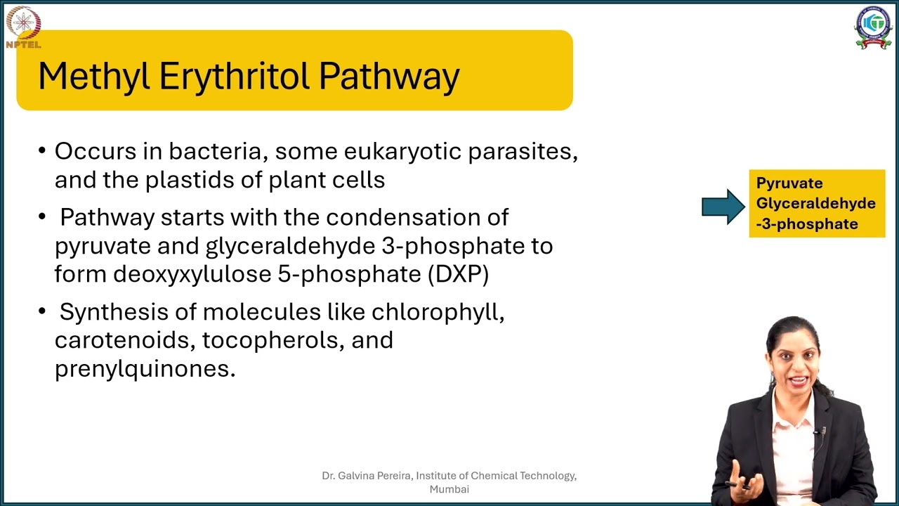 Week 1: Lecture 4: Biosynthesis of Terpenes- Acetate Mevalonate & MEP pathway
