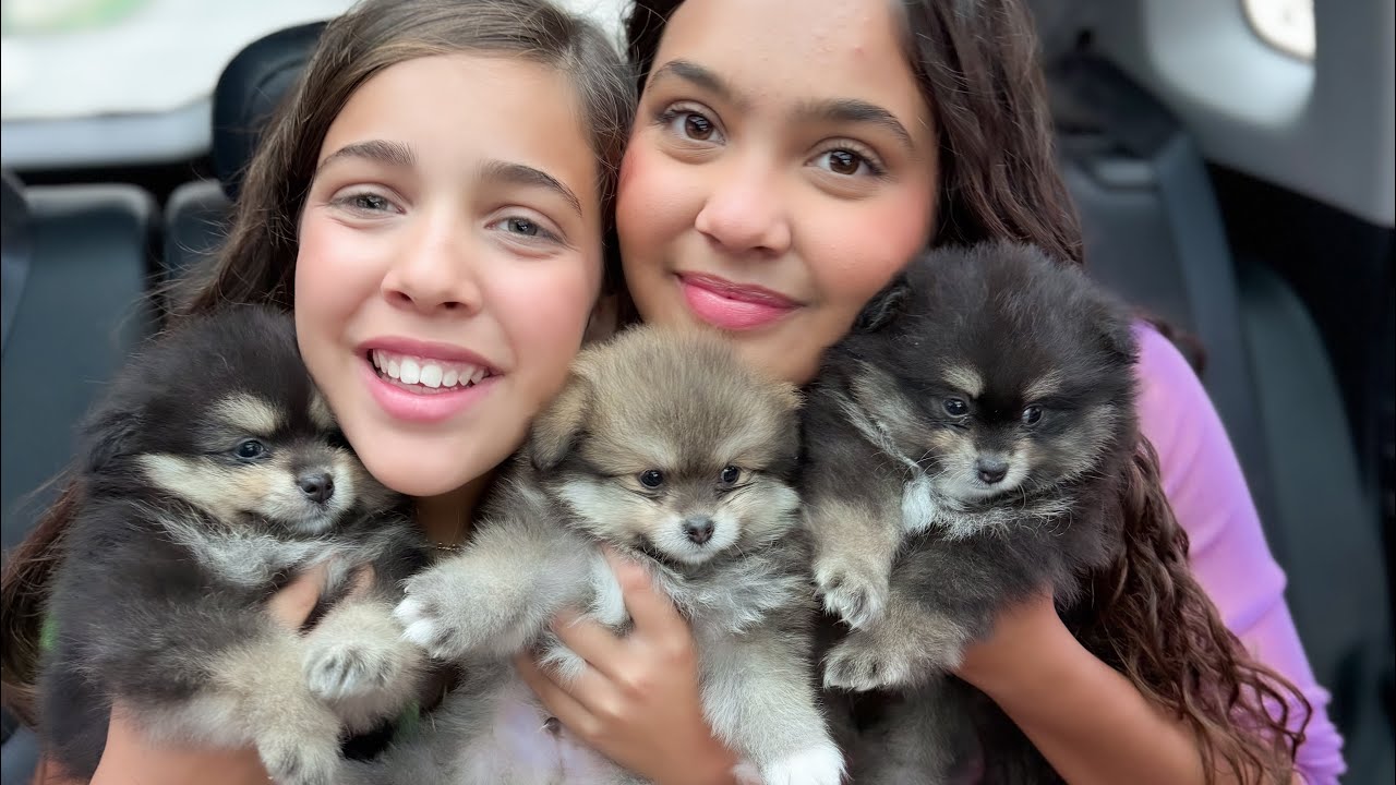 O DIA MAIS FELIZ DA MINHA VIDA !!! *Melhor da semana 