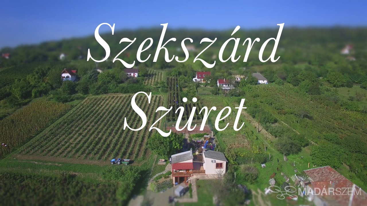 Szekszárd Szüret az igazi feeling!