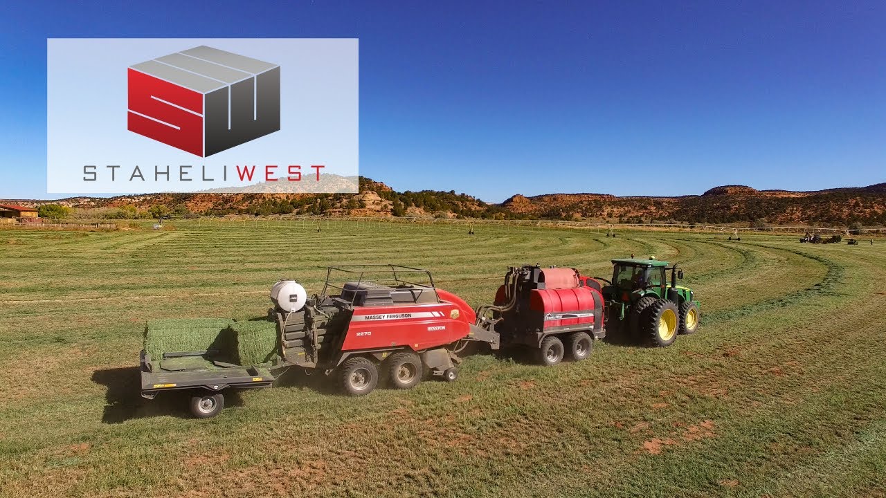 Think You Are Too Small for a DewPoint Dew Simulator Hay Steamer? Think Again!