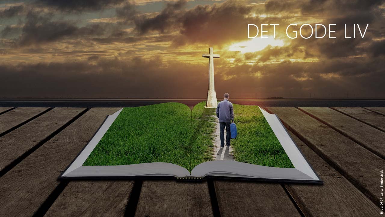 DET GODE LIV (21/21) Er det mange veier til det gode liv?