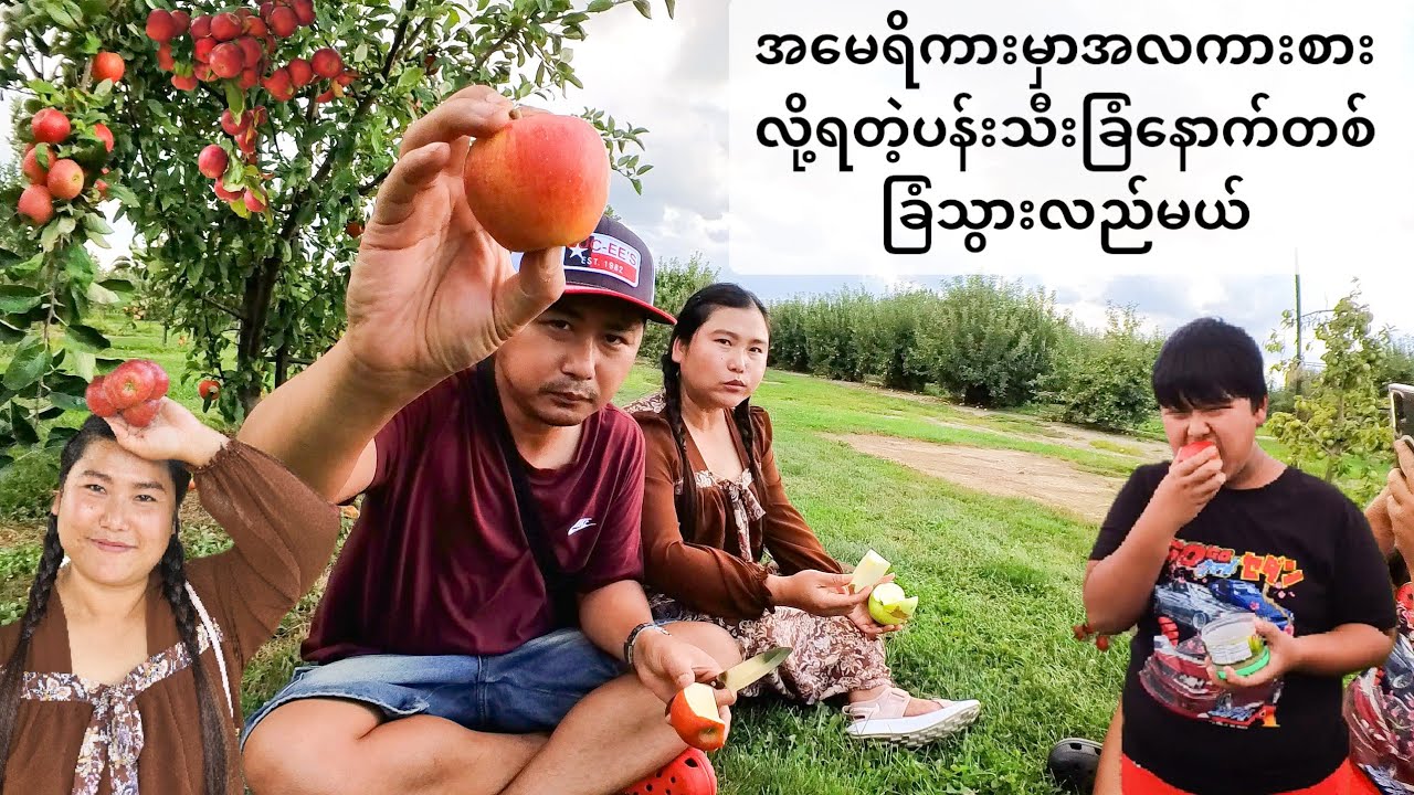 အမေရိကားမှာအလကားစားလို့ရတဲ့ပန်းသီးခြံနောက်တစ်ခြံသွားလည်မယ်အိမ်နဲ့၁၀မိနစ်ပဲဝေးတယ်