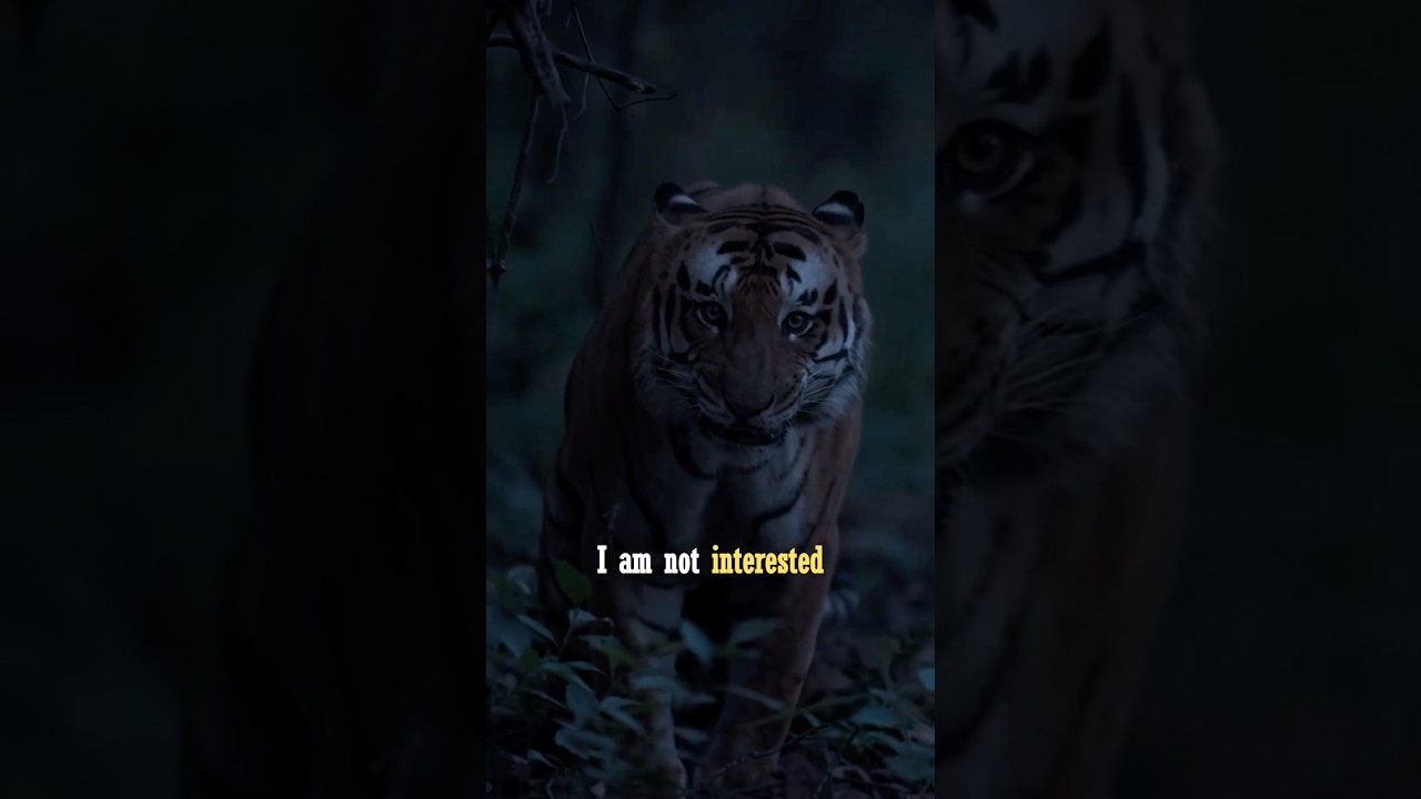 I Don&rsquo;t Want to Be Liked &mdash; I Demand Respect 🔥#motivation #motivationalquotes #shorts