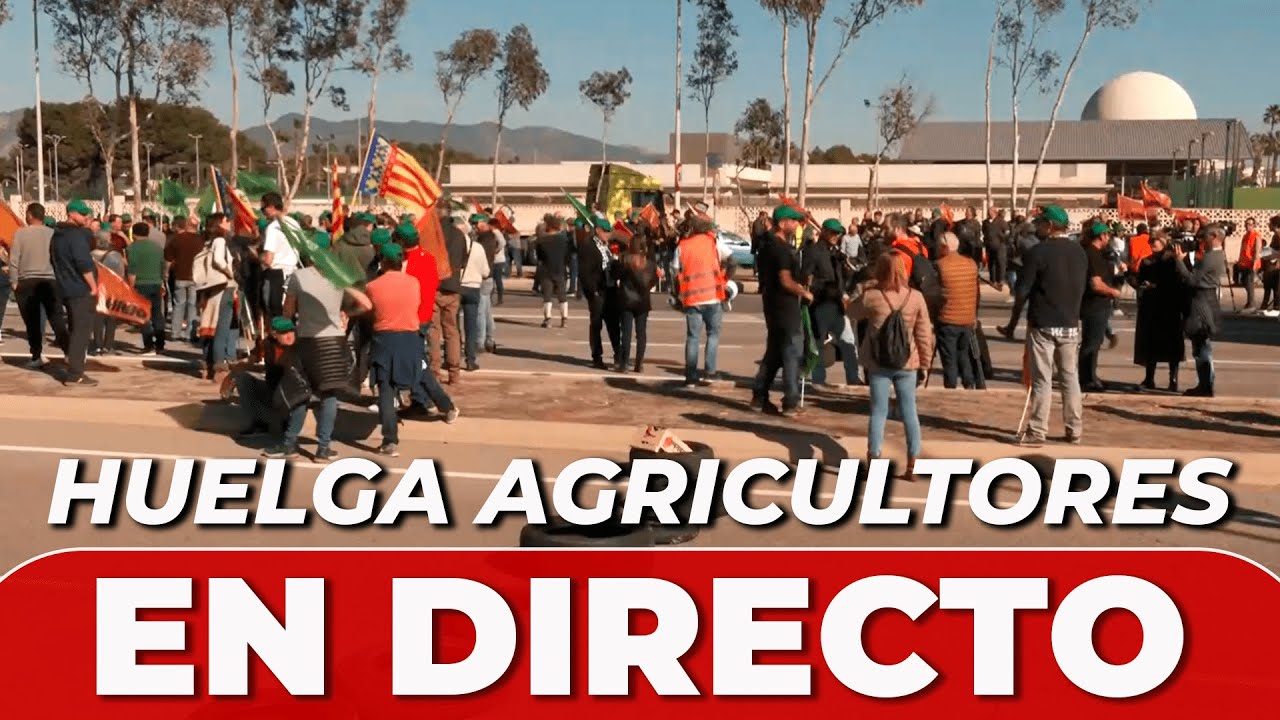 EN DIRECTO | PRETENDEN BLOQUEAR el PUERTO de CASTELLÓN HUELGA AGRICULTORES