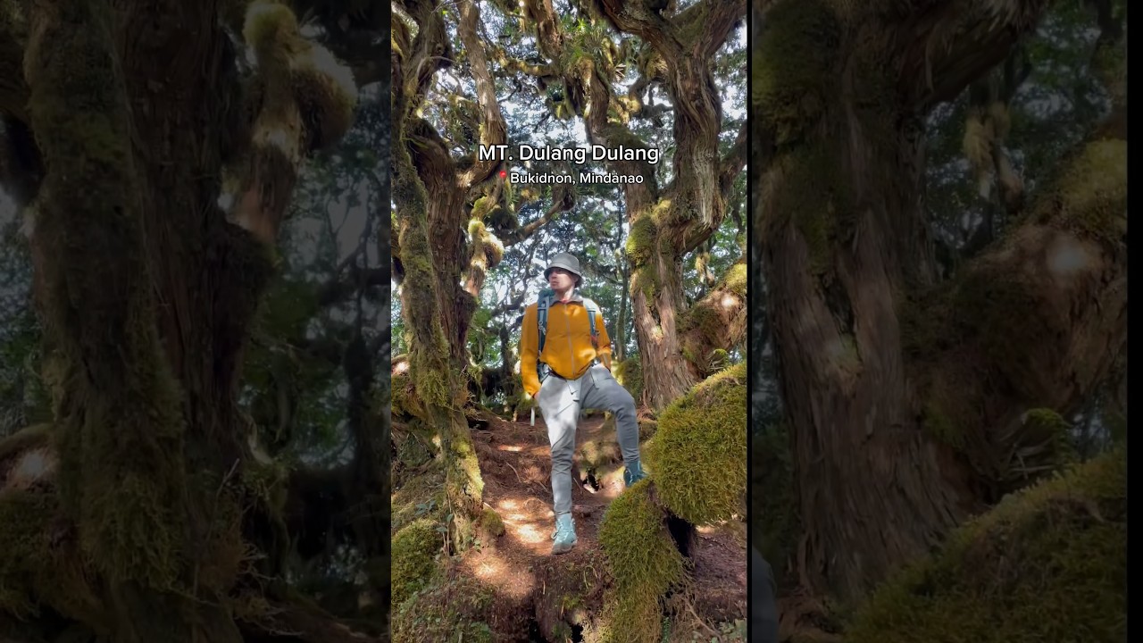 MT. Dulang Dulang Bukidnon, Mindanao ⛰️ #travel #trending #shorts #short #shortvideo #mountains