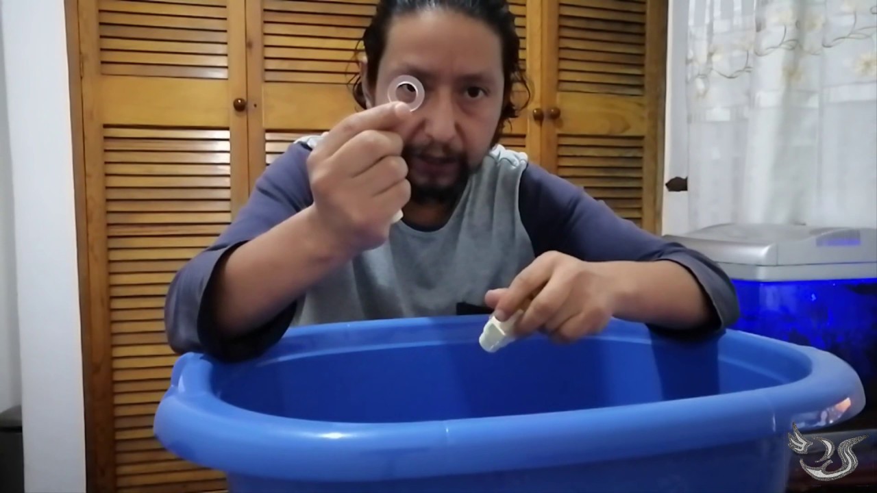 COMO HACER UN FILTRO DE PANTANO CASERO