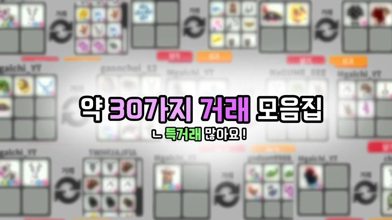 최대한 많이 모아본 거래 모음집 🌱 [ 입양하세요 ]