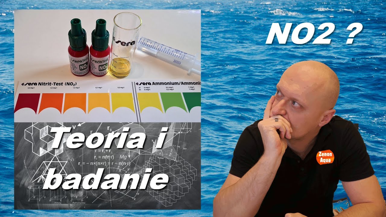 Sera Aqua-Test Box - co to jest NO2 azotyny i jak je zbadać? odc. 6/9