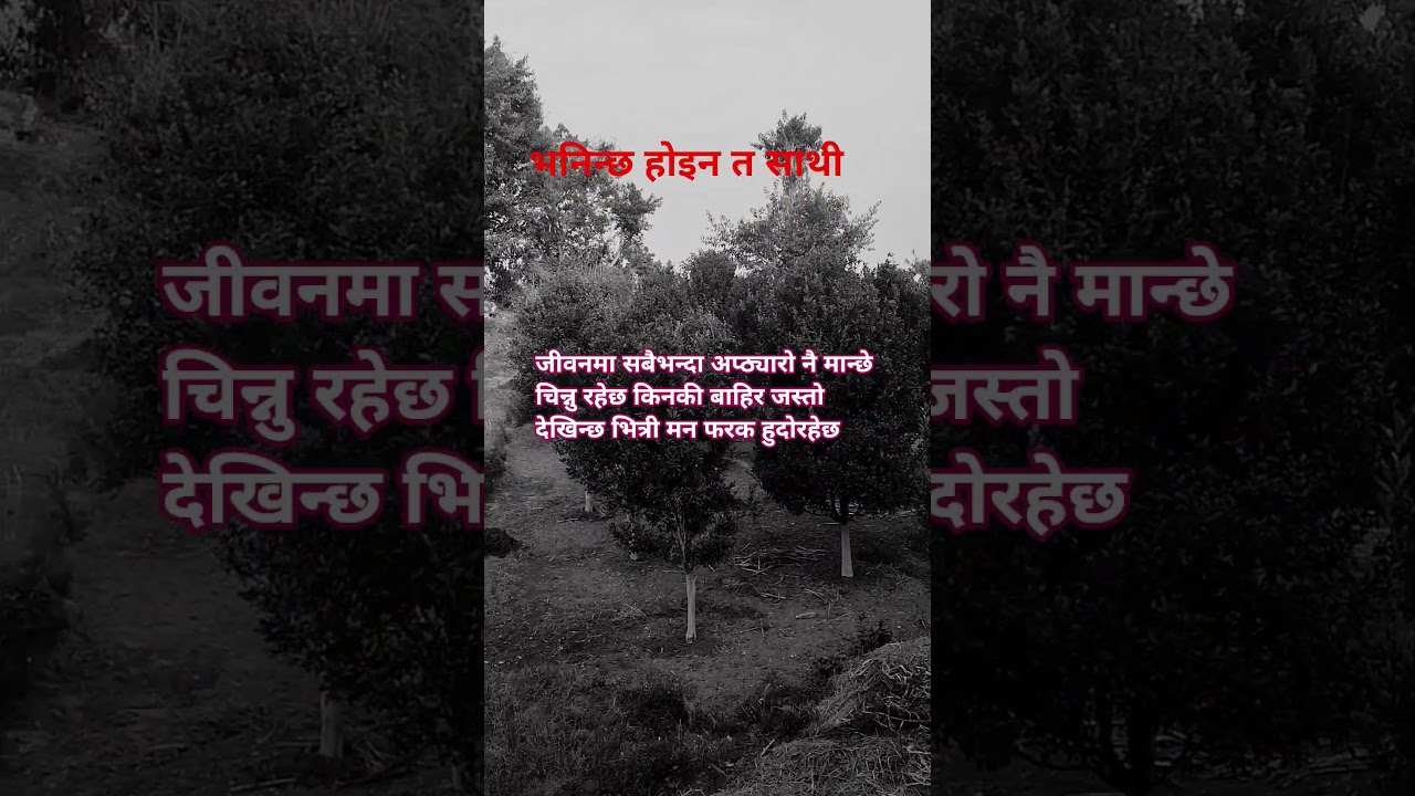 4 March 2026