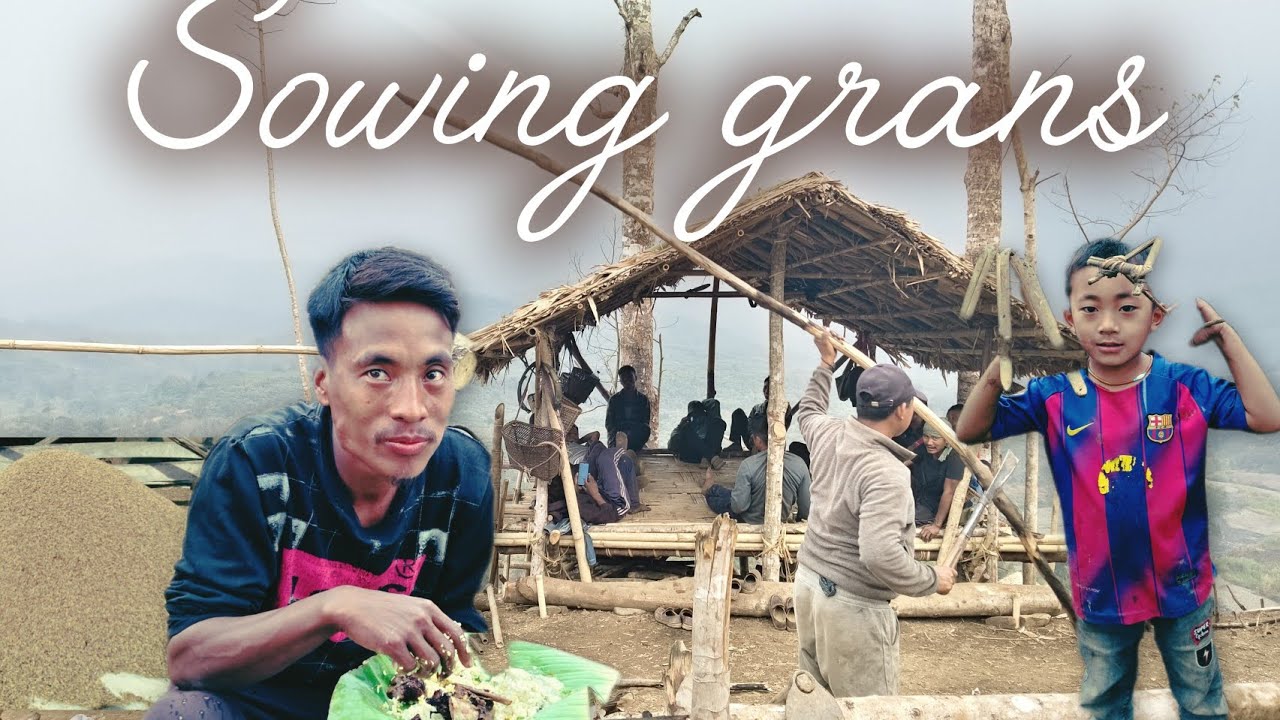Sowing grans in the field/Tah kei pu/Enjoying with friends and family/#BostiManu/2026