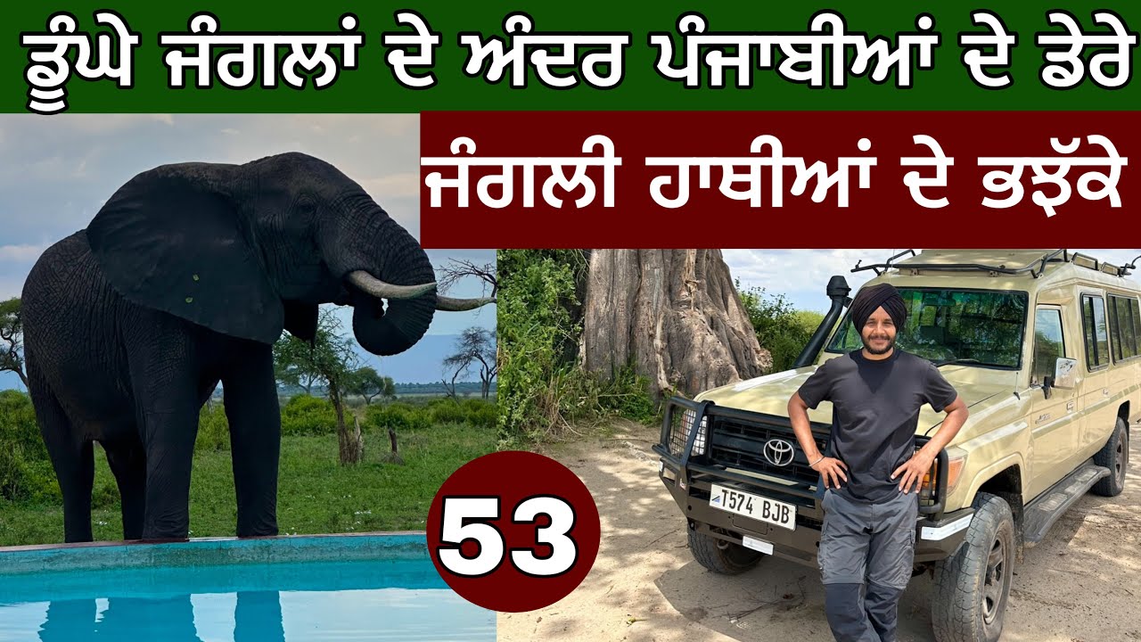 ਜੰਗਲਾਂ ਅੰਦਰ ਪੰਜਾਬੀਆਂ ਦੇ ਹੋਟਲ। Home of Elephants । Tarangire national park