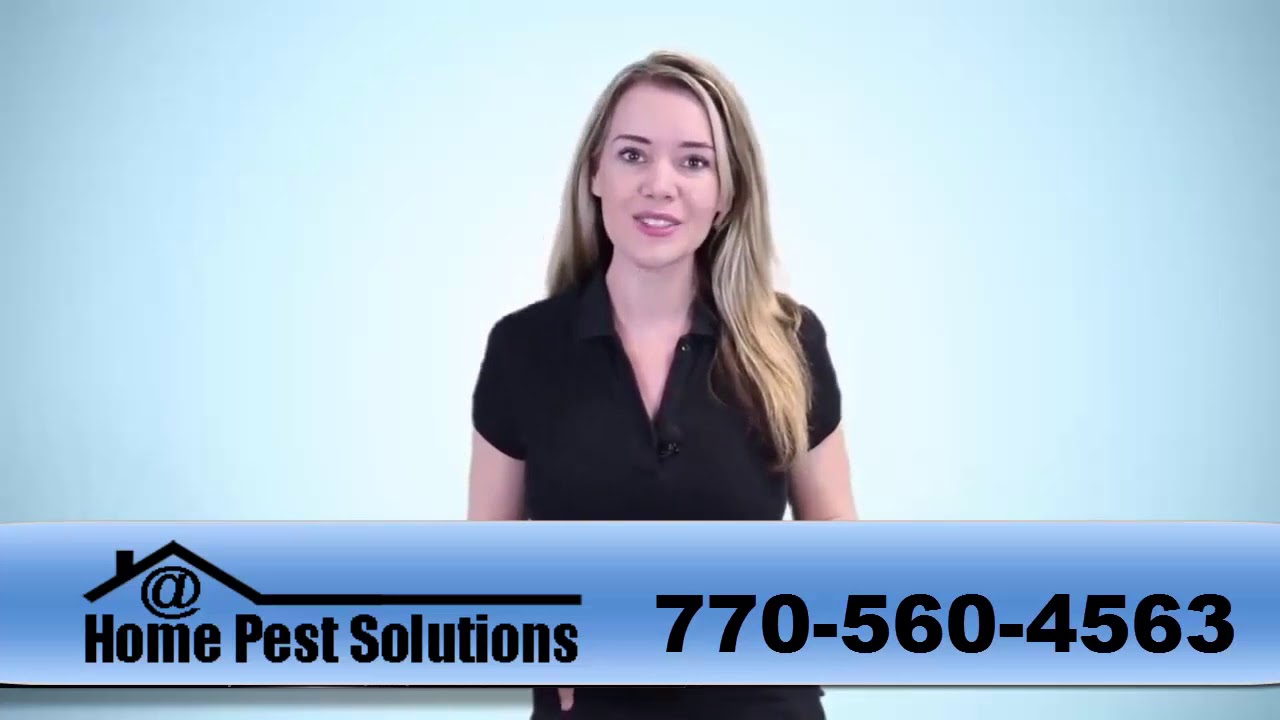 Pest Control Services Jackson GA - Review Exterminators Near Me