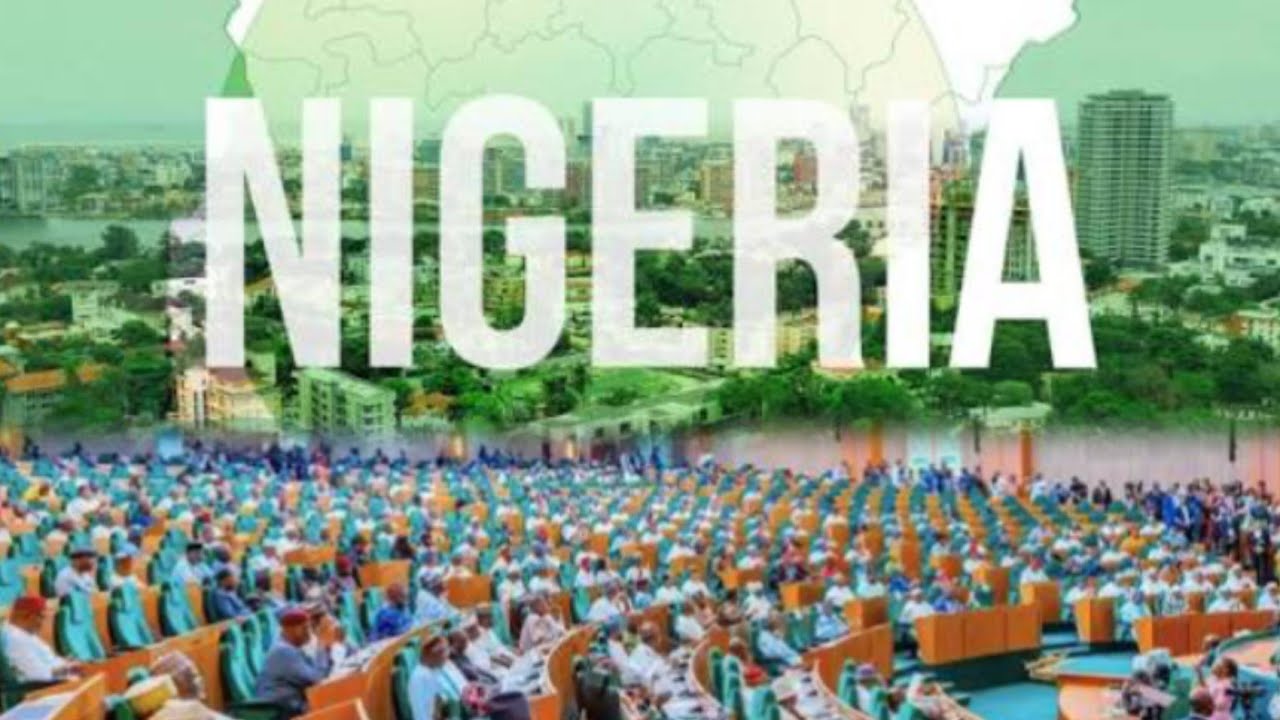 REPS PANEL SAYS NIGERIANS GRAPPLING WITH HARDSHIP