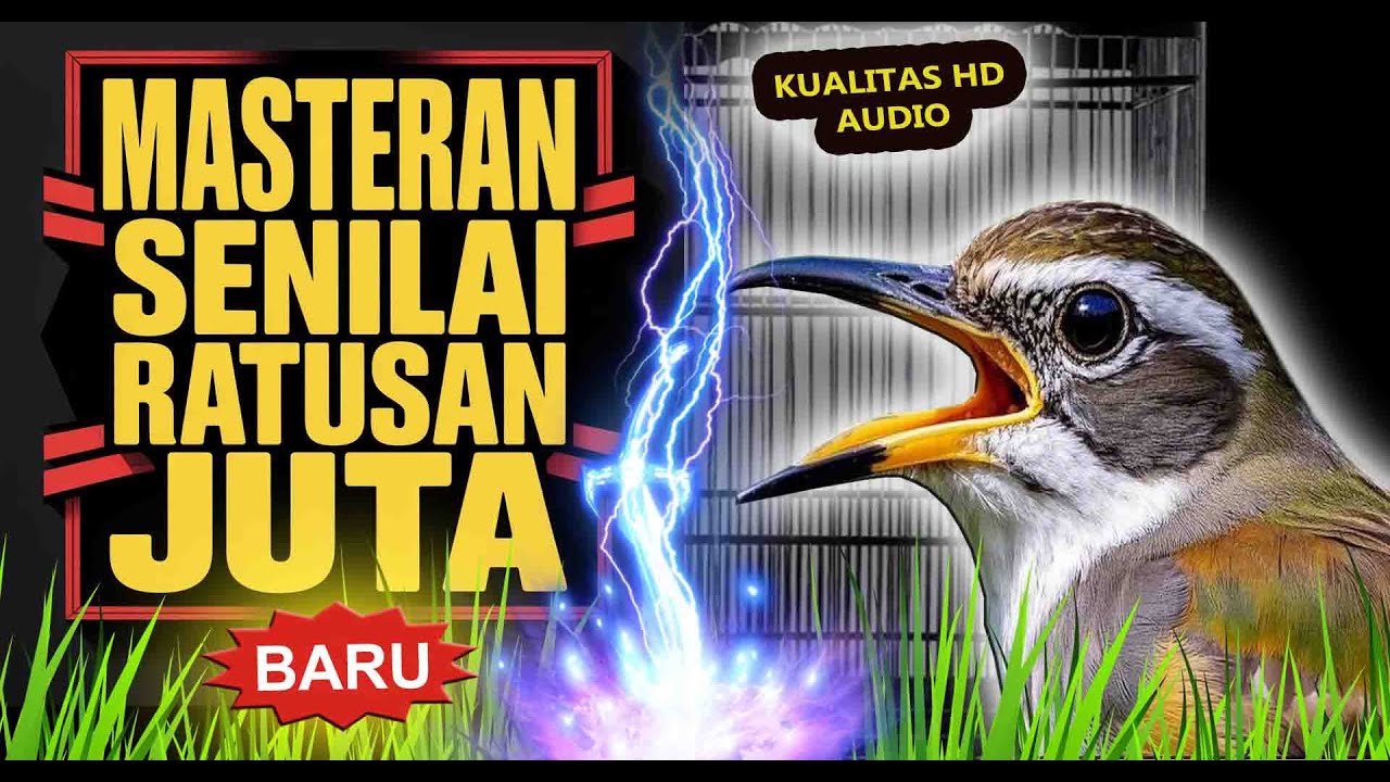 Ini Dia ‼️Masteran Burung Full Isian Mewah Moncer Tembus Kontes 🐦
