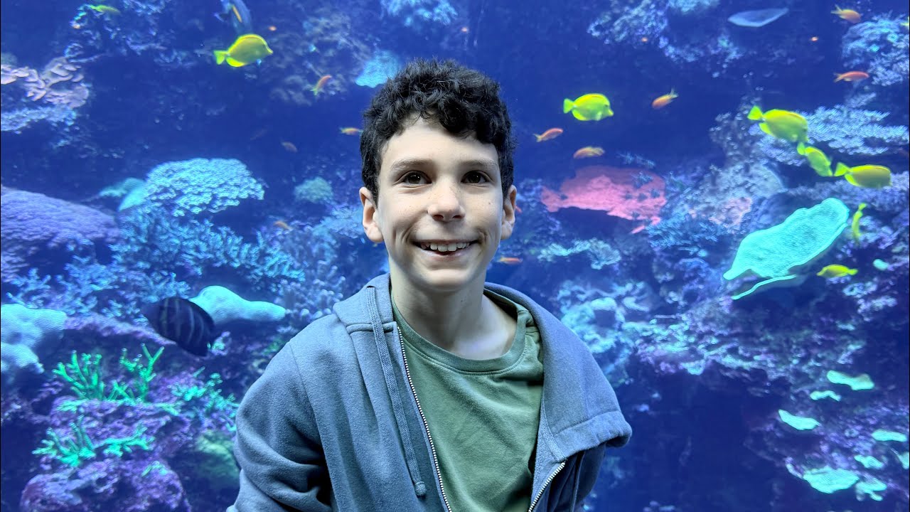 Come with me to the Georgia Aquarium! 