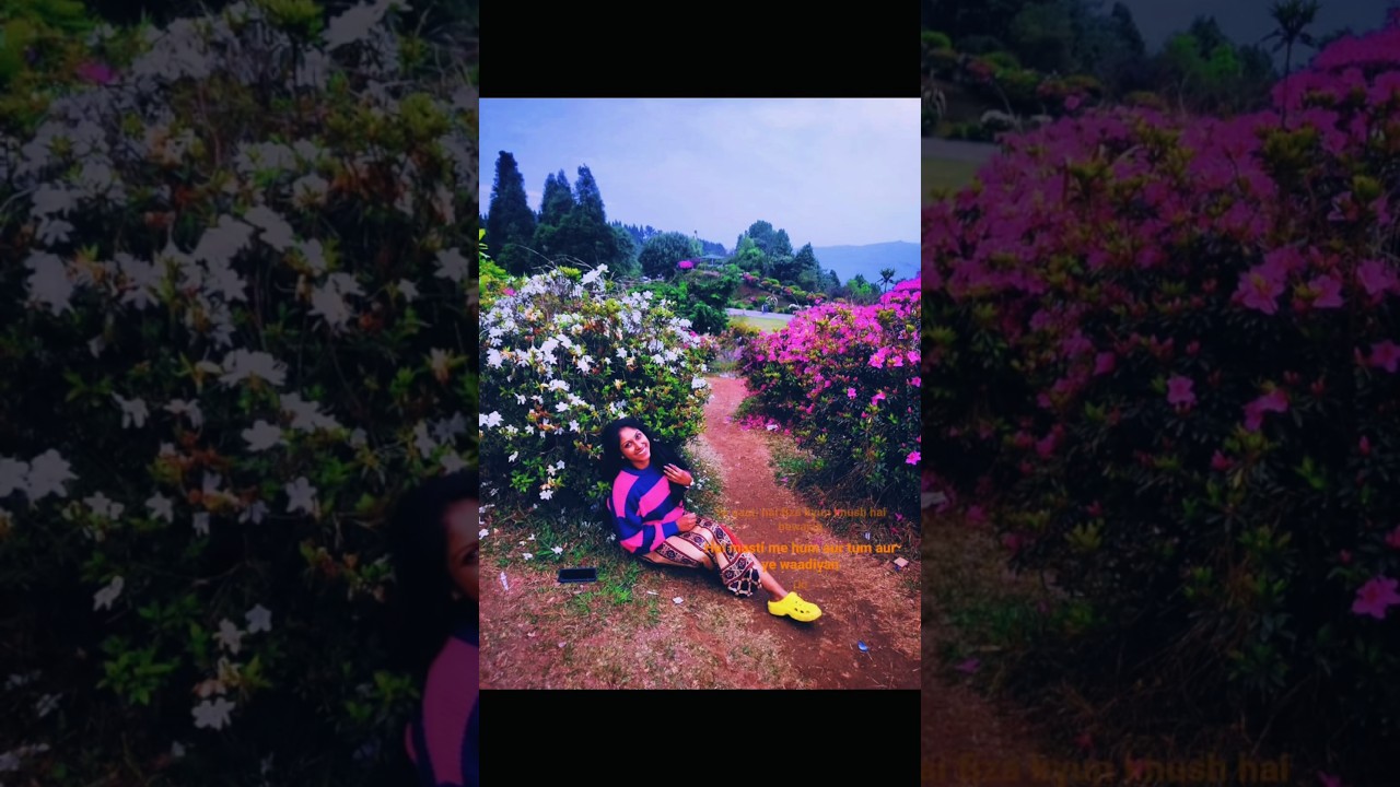 Delo park in Kalingpong is a beautiful place to visit. #Kalingpong #viralshorts  #treanding