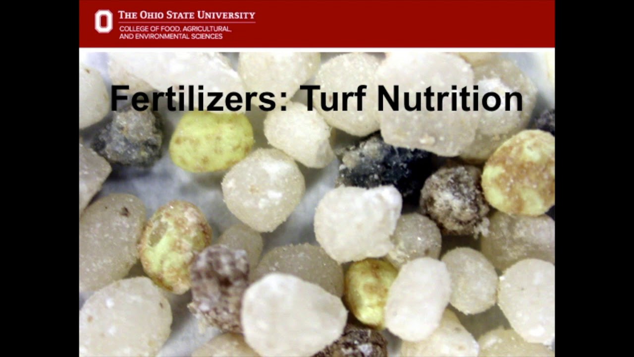 Watering and Feeding Turf