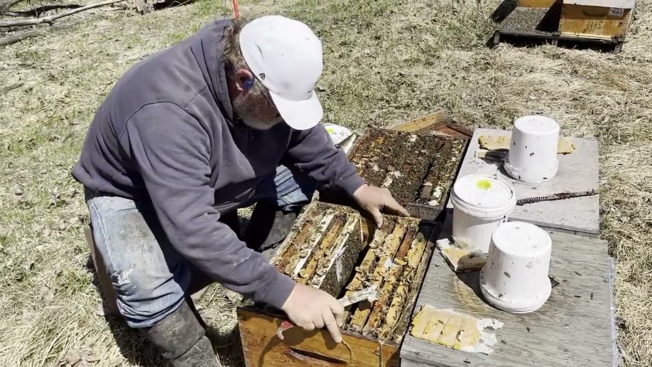 Robin Hood Beekeeping