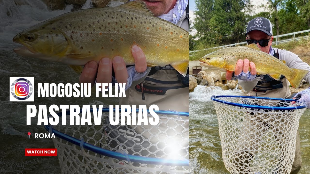 PESCUITUL la PASTRAV pe Ape Salbatice