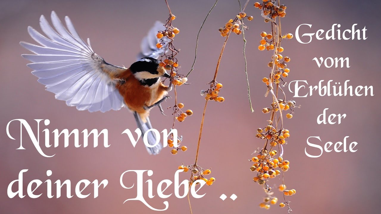 Gedicht - Nimm von deiner Liebe ...