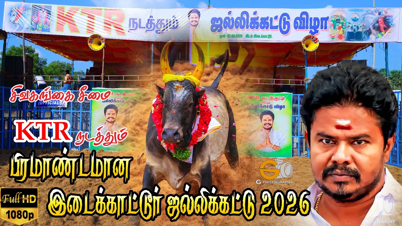 நேரலை / KTR  ஜல்லிக்கட்டு 2026 இடைக்காட்டூர் சிவகங்கை / Live KTR Jallikattu Idaoikatoor Sivagangai