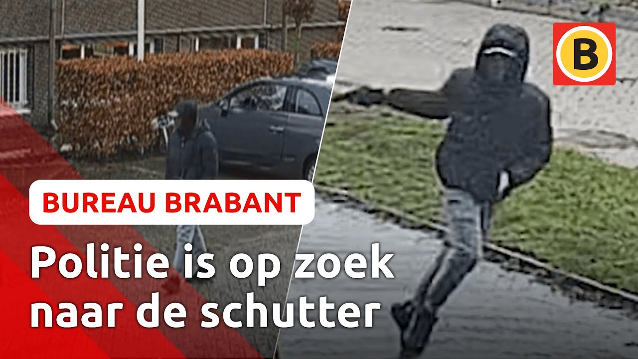 SCHIETPARTIJ op KLAARLICHTE DAG | Bureau Brabant