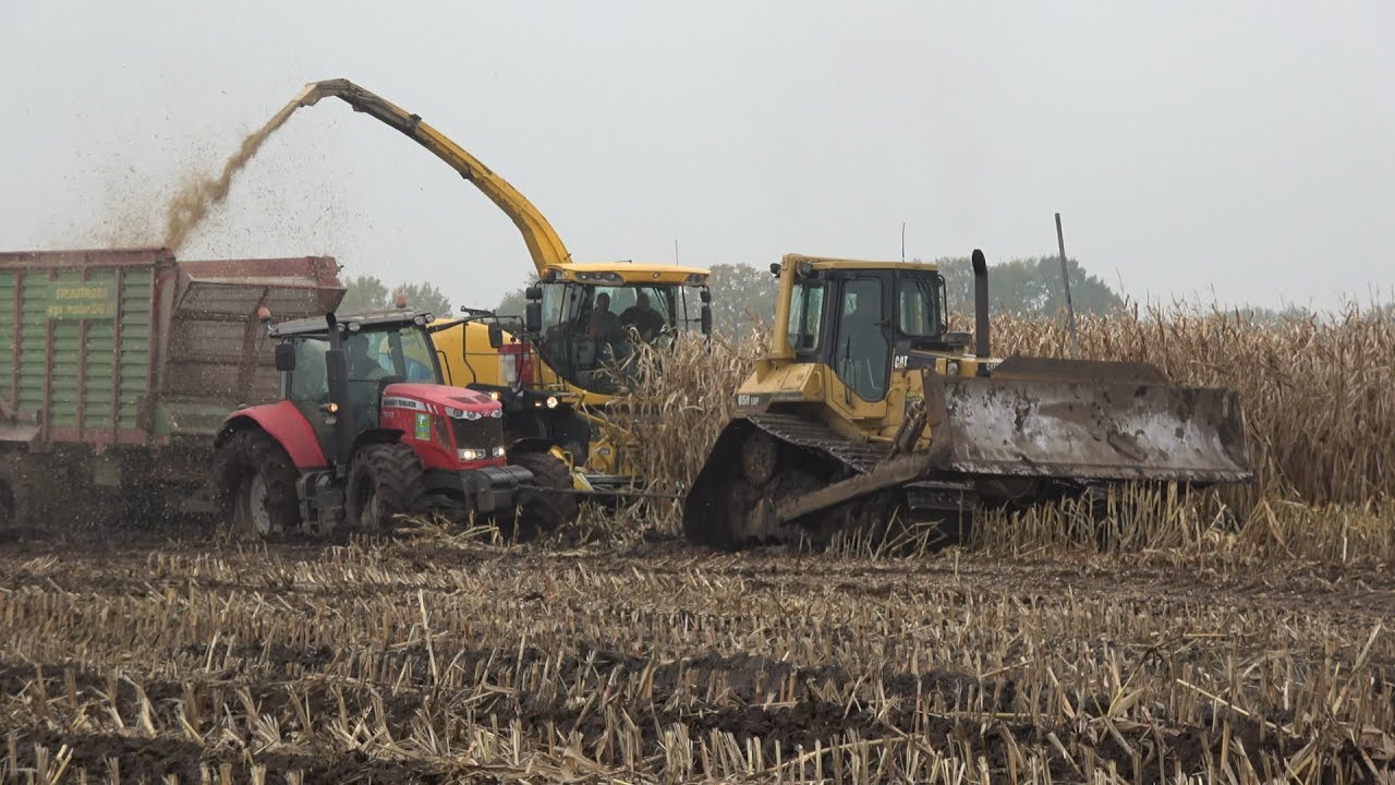 Modderen - Bomhof en Rensen halen de laatste mais eraf met behulp van bulldozer (deel 1/2) (2017)