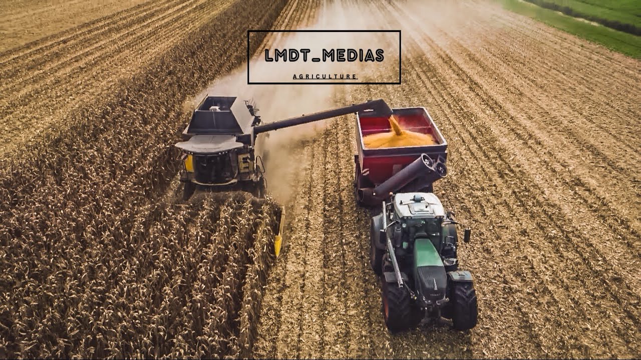 R&eacute;colte de ma&iuml;s grains 2025🌽 New-holland 8.90 & Fendt 939 & Perard XFLOW 34🌽