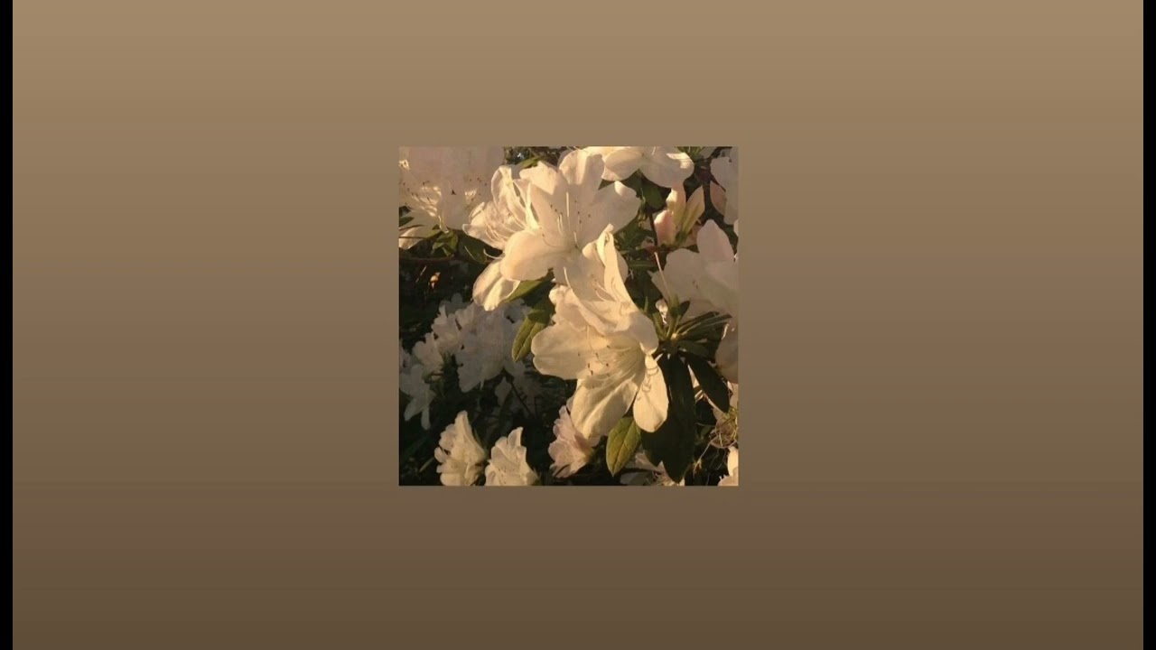 ariana grande - ghostin [sped up]